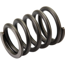 Kūginė spyruoklinė jungtis AGW57583