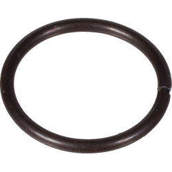 Fiksavimo žiedas 12216ZE2300