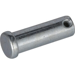 Šašinės smeigės kaištis 5025328X12SM