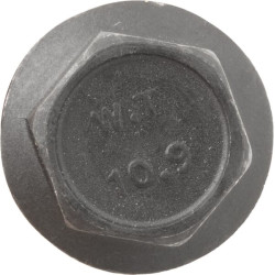 Šešiakampis varžtas 3/8" x 60 10,9 457347