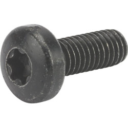 Varžtas TCB torx M6x16 1127278070