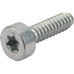 Savisriegis varžtas su įstriža galvute I 90754784085