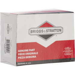 Variklis-elektrinis 1761788YP