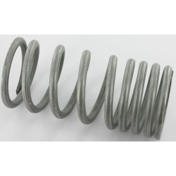 Sėdynės spyruoklė 1134416001