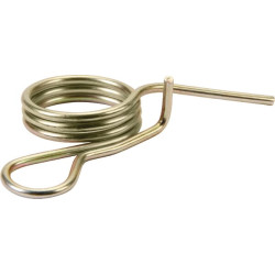 Formos spyruoklė AGW49770