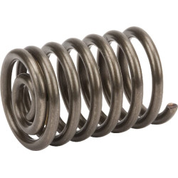 Antivibracinė spyruoklė 6600480