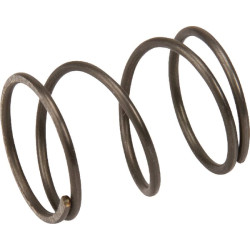 Pavasaris 00009972015