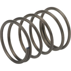 Pavasaris 00009972100