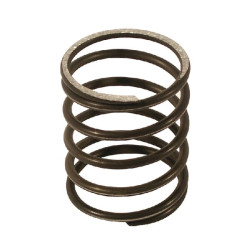 Žoliapjovės galvutės spyruoklė FGP002017