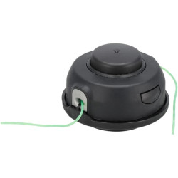 Ritė ir valas SAA12722