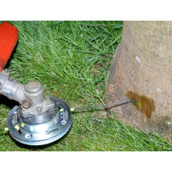 Žoliapjovės valas Ø 2,4 mm, juodas, „Weed Lover“, „Protectline WEE11060“