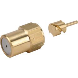 Antgalis 1.3 Birchmeier 28502323SB