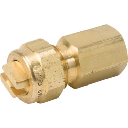 Antgalis Birchmeier 11612810