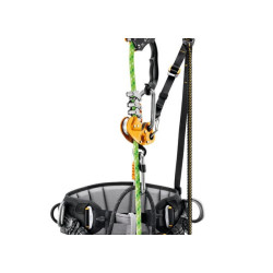 „Sequoia“ sėdynės diržai, 1 dydis, C069BA01