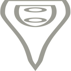 Rheinische kirvis Gold 1,25kg FW201257