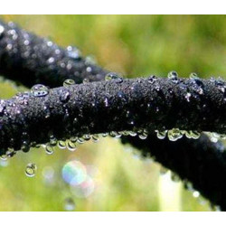 Lašelinė žarna Alfapore 25m SL555025