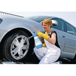 Putų meistras FM10 (1L) 6550000GL