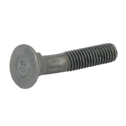 Lenkto norago varžtas 118126000