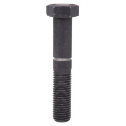 Apsauginis varžtas M16 x 100 Pr 274 Unia 1116000030