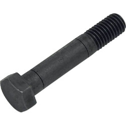 Varžtas M12x65 1151002010