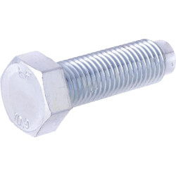 Varžtas M24x78 1117720050