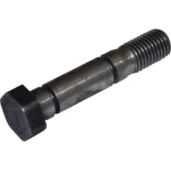 Varžtas M16x81 1153005010