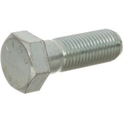 Varžtas H formos M30x90 - 8,8 M213018