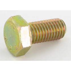 Varžtas M12x25 F01020508R