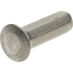 Kniedės TSC 6x19.8A/2 F02250521RDO