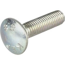 Varžtas, M10X1.5X40 8.8 F01060076R