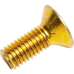 Varžtas M8x20 plokščias HX-SC 8.8 14442021