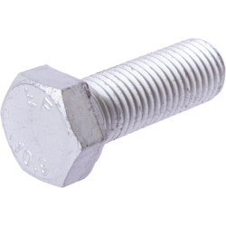 Varžtas M16x45 pilnas 10.9 87027232