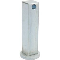 Kištukinis varžtas 300001985