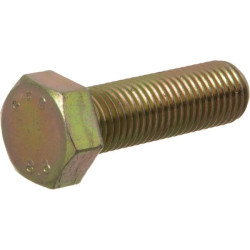 Varžtas M20x75 8.8 11125221EK