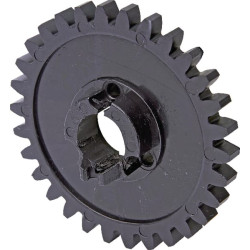 Žvaigždutė 300063547