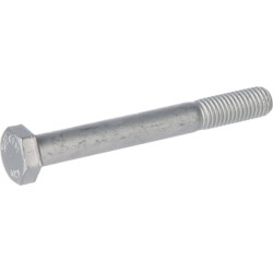 Šešiakampis varžtas M12x100 901723