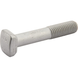 Varžtas su plaktuko formos galvute M10x60 901933