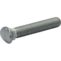 Planetarinis varžtas M10x60 mm 901519