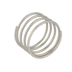 Vožtuvo spyruoklė Lemken F250300