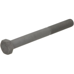 Šešiakampis varžtas M27x260 3014864