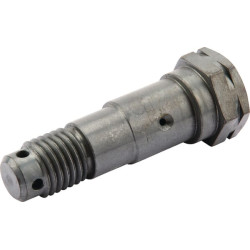 Ekscentrinis varžtas M24x91/D32-28-2 3018206