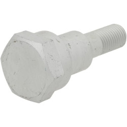 Ekscentrinis varžtas 30110072