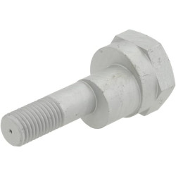 Ekscentrinis varžtas 30110072