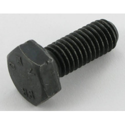 Varžtas M8x20G B Maschio F01020436R