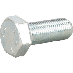 Varžtai M12x1,25x30 F01010283R