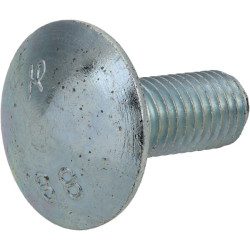 Varžtas M12X1,75X30 F01060206R