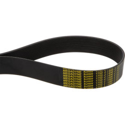 Pavaros diržas 1752 J16 Rabe MM51550001