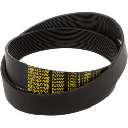 Pavaros diržas 1752 J16 Rabe MM51550001