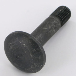 Varžtas M16x75-10.9 Rabe 22044908