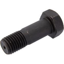 Varžtas M24x70 10.9 50002407011